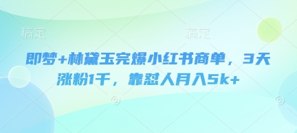 即梦+林黛玉完爆小红书商单，3天涨粉1千，靠怼人月入5k+-财兔窝项目网