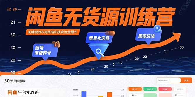 闲鱼无货源训练营：账号准备养号/垂直化选品/黑搜玩法，0基础30天盈利指南-财兔窝项目网