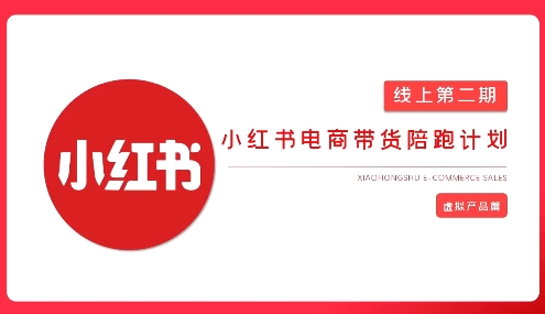 2025小红书虚拟电商实战课-财兔窝项目网