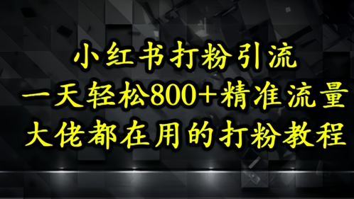 小红书打粉引流，一天轻松500+精准流量，大佬都在用的打粉教程-财兔窝项目网