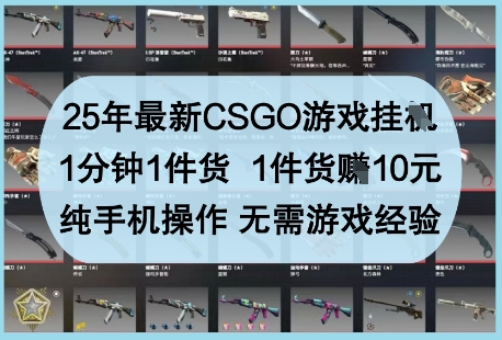 25年最新CSGO游戏挂G，1分钟1件货，1件货挣10元，纯手机操作，无需游戏经验【揭秘】-财兔窝项目网