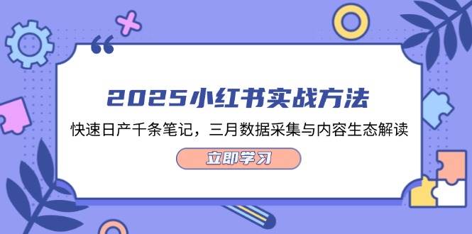 2025小红书实战方法，快速日产千条笔记，三月数据采集与内容生态解读-财兔窝项目网
