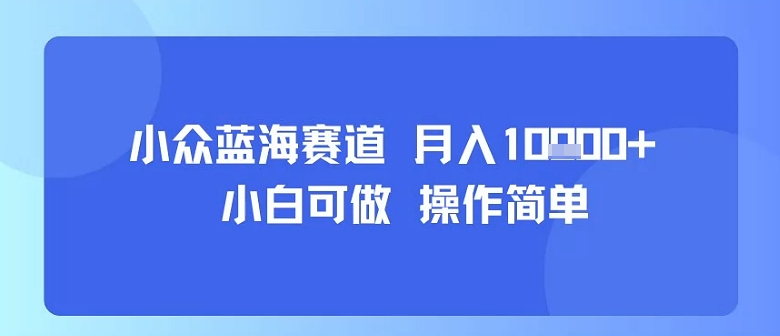 小众蓝海赛道，小白可做，操作简单，每天30分钟，月入1W+-财兔窝项目网