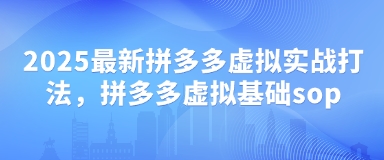 2025最新拼多多虚拟实战打法，拼多多虚拟基础sop-财兔窝项目网