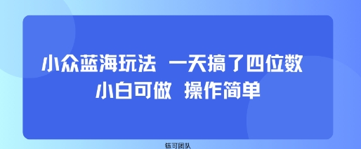 小众蓝海玩法 一天搞了四位数 小白可做 操作简单-财兔窝项目网