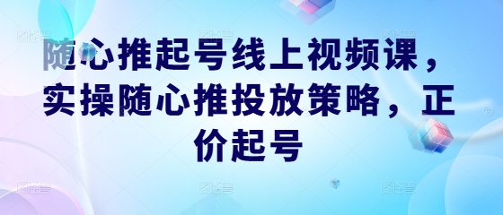 随心推起号线上视频课，实操随心推投放策略，正价起号-财兔窝项目网