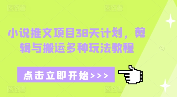 小说推文项目38天计划，剪辑与搬运多种玩法教程-财兔窝项目网