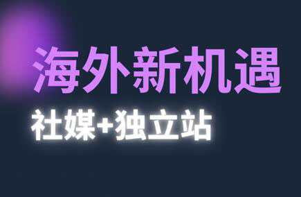 棕榈·2025出海新机遇(社媒+独立站)-财兔窝项目网