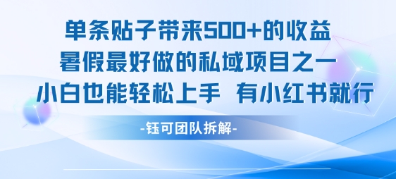 单条贴子带来5张的收益，暑假最好做的私域项目之一，小白也能轻松上手，有小红书就行-财兔窝项目网