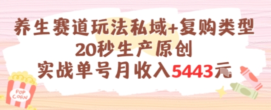 养生赛道玩法私域+复购类型，20秒生产原创实战单号月收入5k+-财兔窝项目网