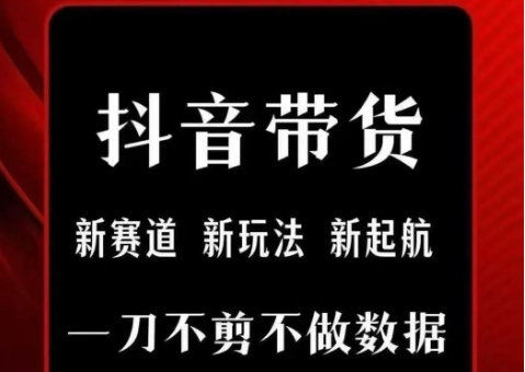 抖音短视频一刀不剪带货，不剪辑，不直播，每天发个视频，等着出单获取带货佣金-财兔窝项目网