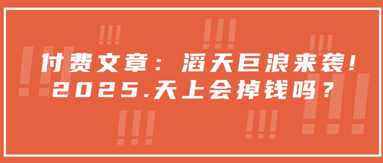 付费文章：滔天巨浪来袭！2025天上会掉钱吗？-财兔窝项目网