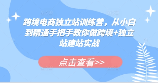 跨境电商独立站训练营，从小白到精通手把手教你做跨境+独立站建站实战-财兔窝项目网