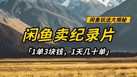 闲鱼卖纪录片1单3块钱，1天几十单，项目稳定有潜力-财兔窝项目网