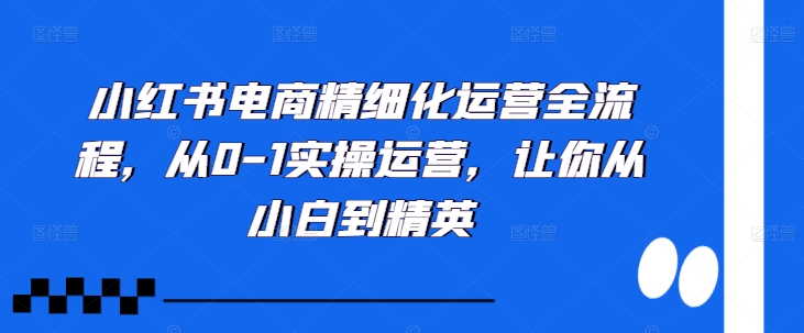 小红书电商精细化运营全流程，从0-1实操运营，让你从小白到精英-财兔窝项目网