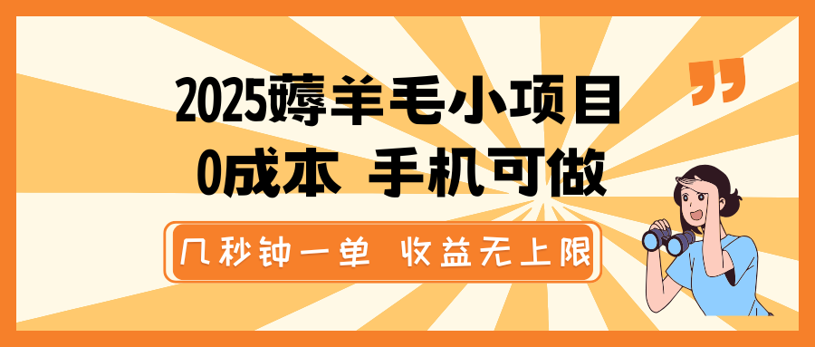 2025薅羊毛小项目，0成本 手机可做，几秒钟一单，收益无上限-财兔窝项目网