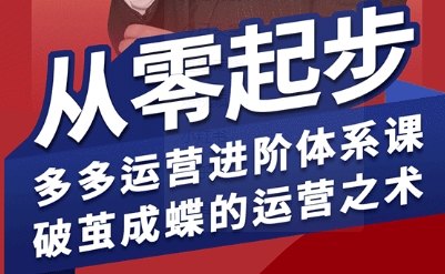 拼多多运营进阶系统课，从零起步，多多运营进阶体系课，破茧成蝶的运营之术-财兔窝项目网