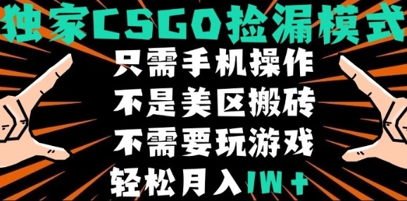 CSGO自动捡漏项目，最新独家玩法，不是美区搬砖，不需要了解和玩游戏，新手小白轻松月入1W+【揭秘】-财兔窝项目网