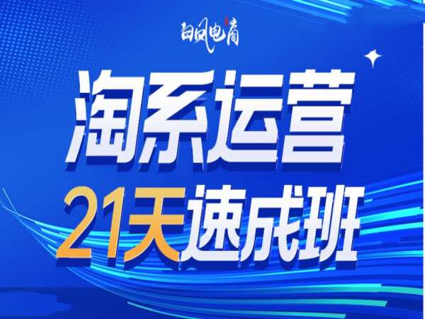 淘系运营21天速成班35期，年前最后一波和2025方向-财兔窝项目网