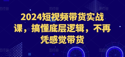 2024短视频带货实战课，搞懂底层逻辑，不再凭感觉带货-财兔窝项目网