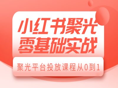 小红书聚光零基础实战，聚光平台投放课程从0到1-财兔窝项目网