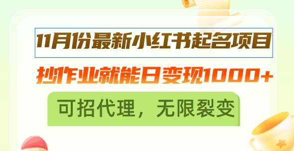 11月份最新小红书起名项目，抄作业就能日变现1000+，可招代理，无限裂变-财兔窝项目网