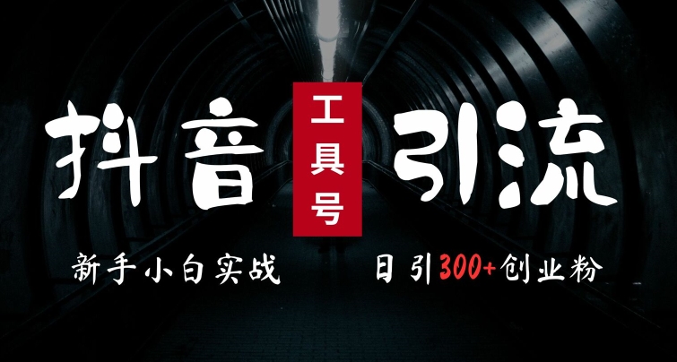 2024最新抖音工具号引流玩法，高效日引300+创业粉，当天变现5k，小白也可成为实战高手-财兔窝项目网