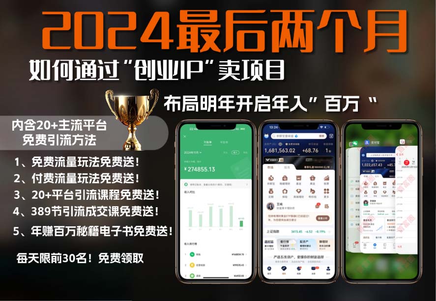 2024最后两个月如何通过”创业IP“卖项目年入”百万“,创业IP+最强引流…-财兔窝项目网