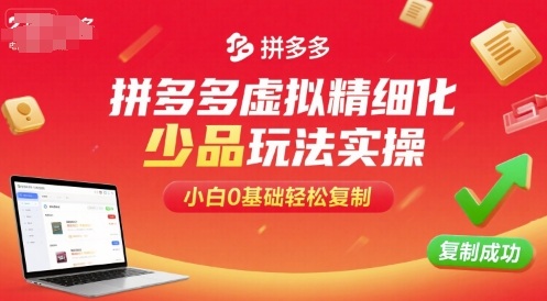 拼多多虚拟精细化少品玩法实操，小白0基础轻松复制-财兔窝项目网