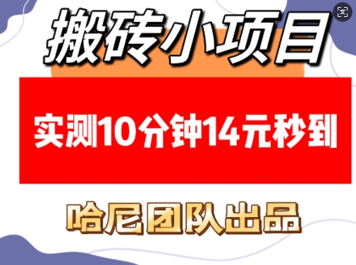 搬砖小项目，实测10分钟14元秒到，每天稳定几张(赠送必看稳定)-财兔窝项目网