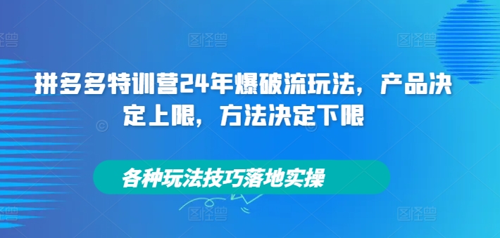 拼多多特训营24年爆破流玩法，产品决定上限，方法决定下限，各种玩法技巧落地实操-财兔窝项目网