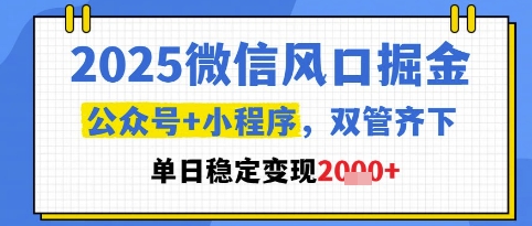 2025微信风口掘金，公众号+小程序双管齐下，单日稳定变现1k+【揭秘】-财兔窝项目网
