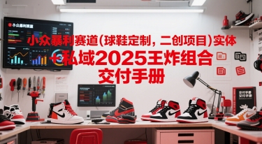 小众暴利赛道(球鞋定制，二创项目)实体+私域2025王炸组合  交付手册-财兔窝项目网