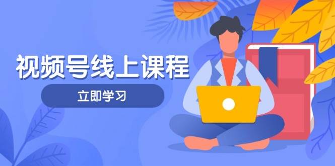 视频号实战课程，轻IP打造与运营技巧，掌握核心方法与策略-财兔窝项目网