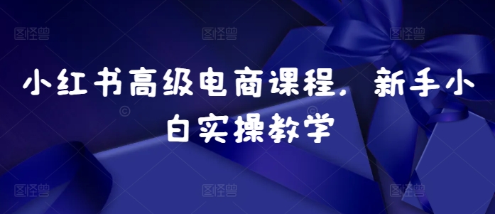 小红书高级电商课程，新手小白实操教学-财兔窝项目网