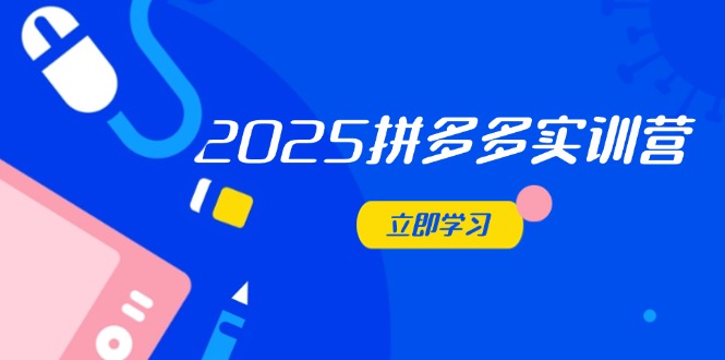 2025拼多多实训营：深度剖析运营关键，助力电商人快速提升-财兔窝项目网