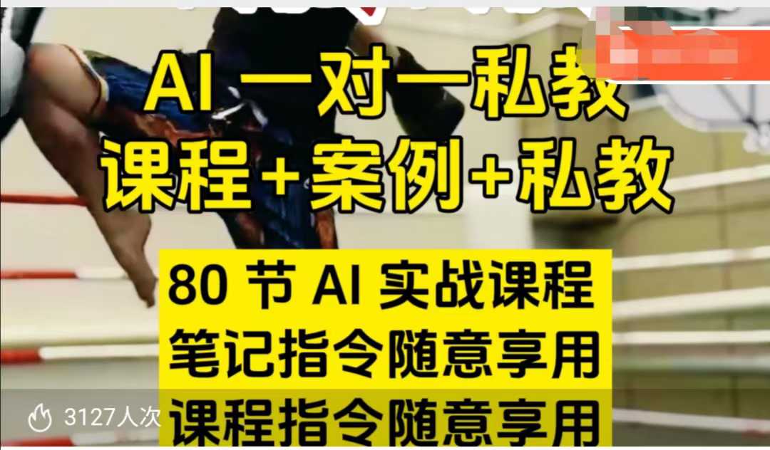 AI指令实战课，课程+案例，80节AI实战课程，笔记指令随意享用，课程指令随意享用(更新7月)-财兔窝项目网