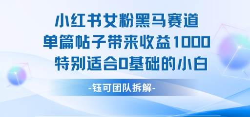 小红书女粉黑马赛道单篇帖子带来收益1k+，特别适合0基础的小白-财兔窝项目网