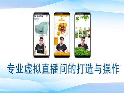 个人虚拟直播间的搭建与操作，专业虚拟直播间的打造与操作-财兔窝项目网