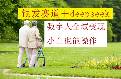 银发赛道+deepseek数字人全域变现，小白也能操作-财兔窝项目网
