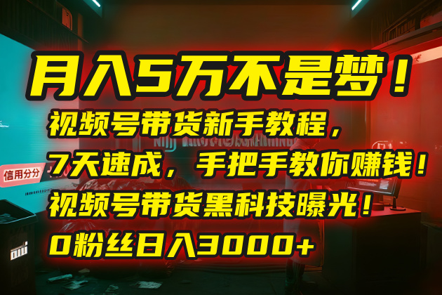 月入5万不是梦！视频号带货新手教程，7天速成，手把手教你赚钱！视频号…-财兔窝项目网