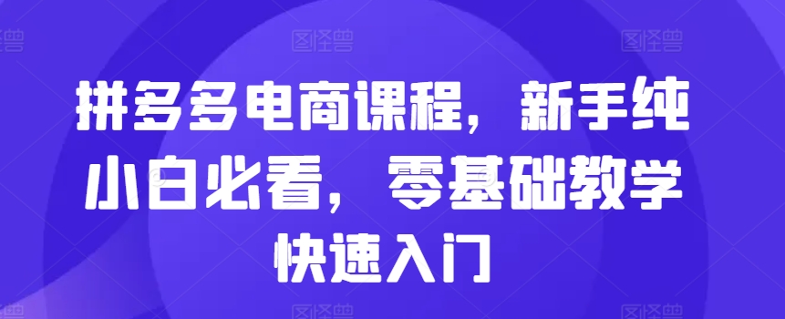 拼多多电商课程，新手纯小白必看，零基础教学快速入门-财兔窝项目网