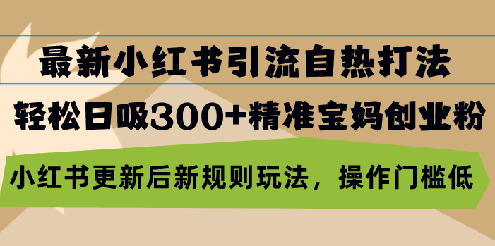 最新小红书引流自热打法，轻松日吸300+精准宝妈创业粉，小红书更新后新…-财兔窝项目网