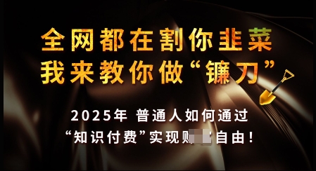 知识付费如何做到月入过W+，2025我来教你做“镰刀”【揭秘】-财兔窝项目网