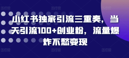 小红书独家引流三重奏，当天引流100+创业粉，流量爆炸不愁变现【揭秘】-财兔窝项目网