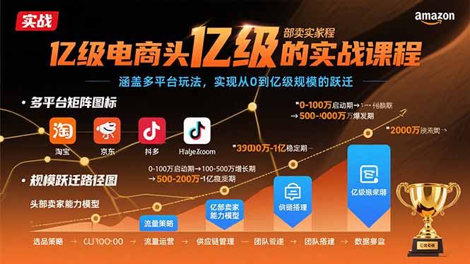 亿级电商头部卖家的实战课程：涵盖多平台玩法，实现从0到亿级规模的跃迁-财兔窝项目网
