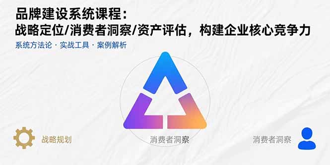 品牌建设系统课程：战略定位/消费者洞察/资产评估，构建企业核心竞争力-财兔窝项目网