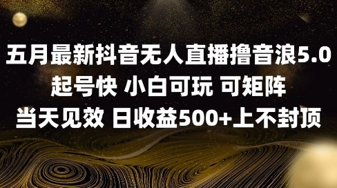 2025五月最新无人直播撸音浪单日产出5张+实操教程【揭秘】-财兔窝项目网