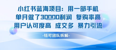 小红书蓝海项目，一部手机单月做了3W利润，小白也能月入过1W用户认可度高成交多-财兔窝项目网