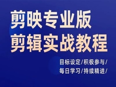 剪映专业版剪辑实战教程，目标设定/积极参与/每日学习/持续精进-财兔窝项目网